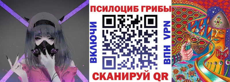 Псилоцибиновые грибы Psilocybe  shop наркотические препараты  Красноперекопск 